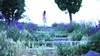 TranscenDance